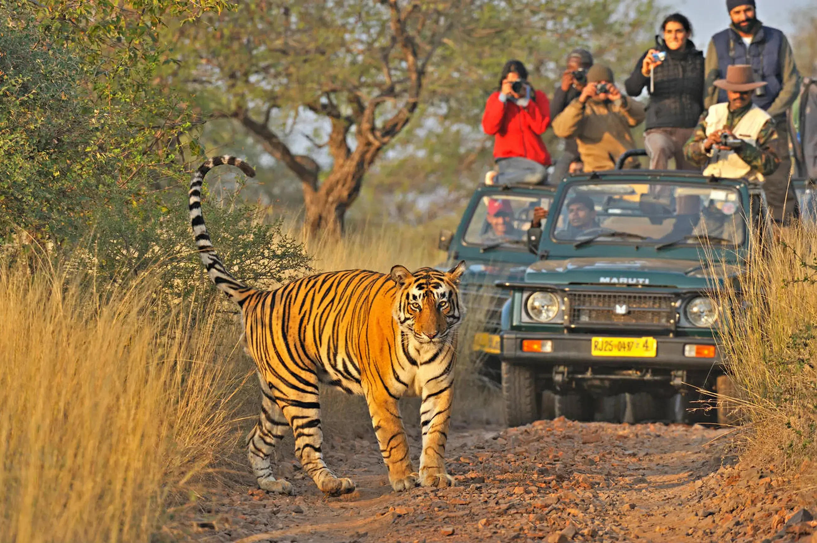 Jim Corbett National Park