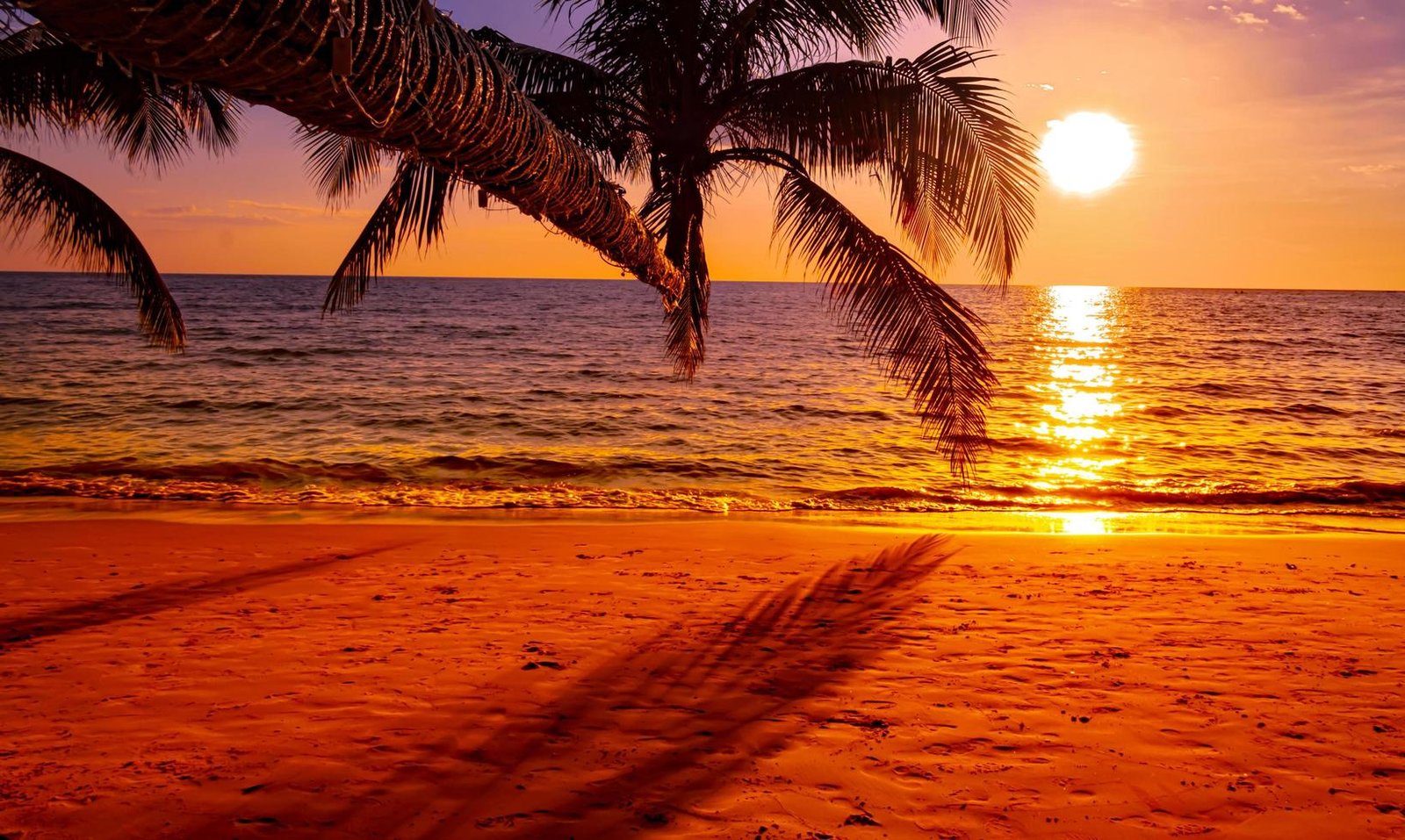 15 Days Delhi, Agra, Jaipur, Mumbai, & Goa Tour Package