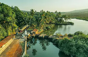 Visit Spice Plantation