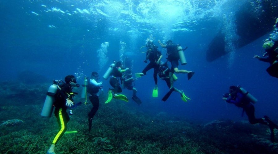 Scuba Diving