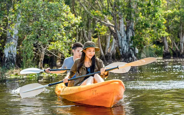 Mangrove Kayaking