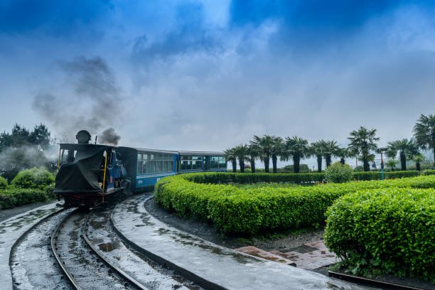 Enjoy a Toy Train Ride