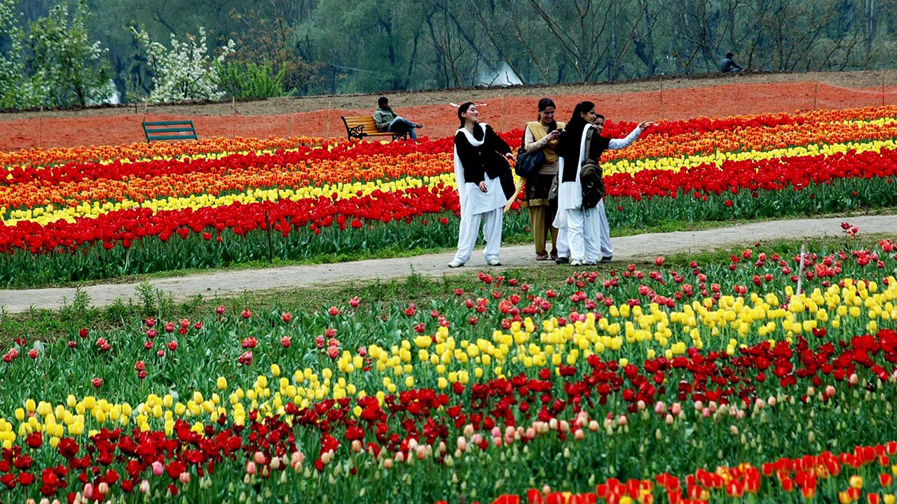 Walk Through Colorful Gardens