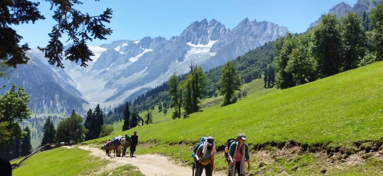 7 Days Kolahoi Base Camp Trekking Tour Package