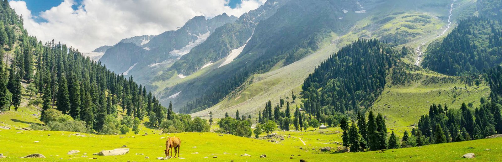 8 Days Kashmir Tour Package