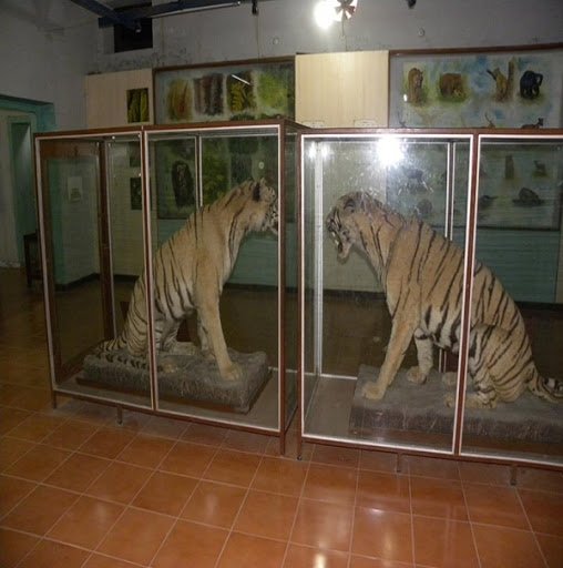 Corbett Museum