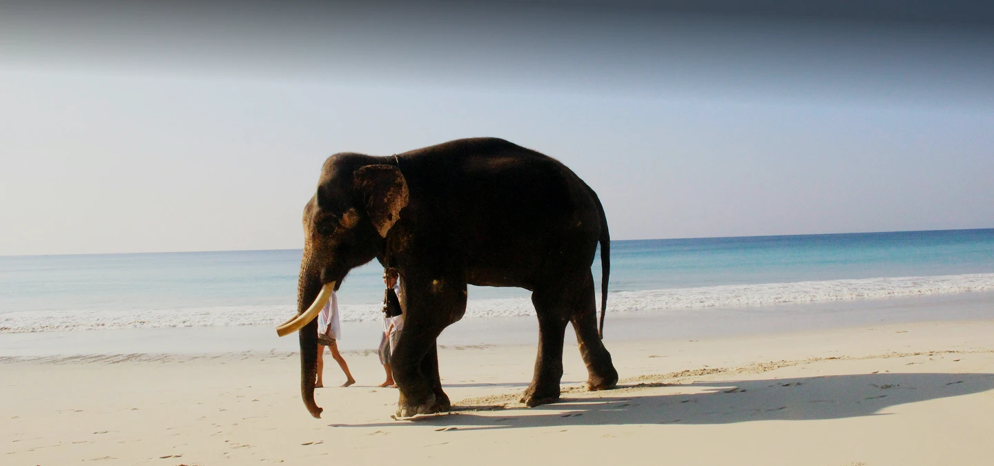 5 Days Port Blair & Havelock Beach Tour Package