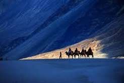 Walk in Desert Valleys